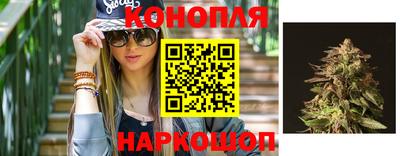 СК Новоалександровск