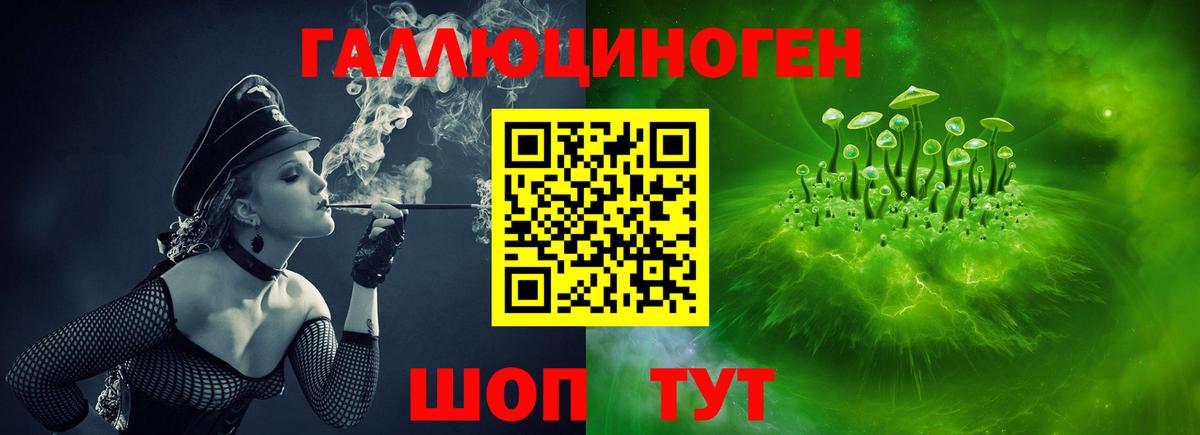 Псилоцибиновые грибы GOLDEN TEACHER  Вход с VPN  купить   Хасавюрт 